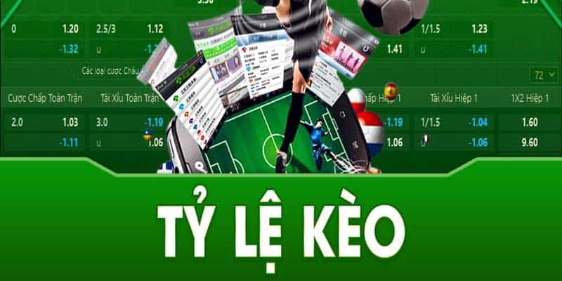 Hiểu kèo lựa là gì, tỷ lệ cược trước khi chơi